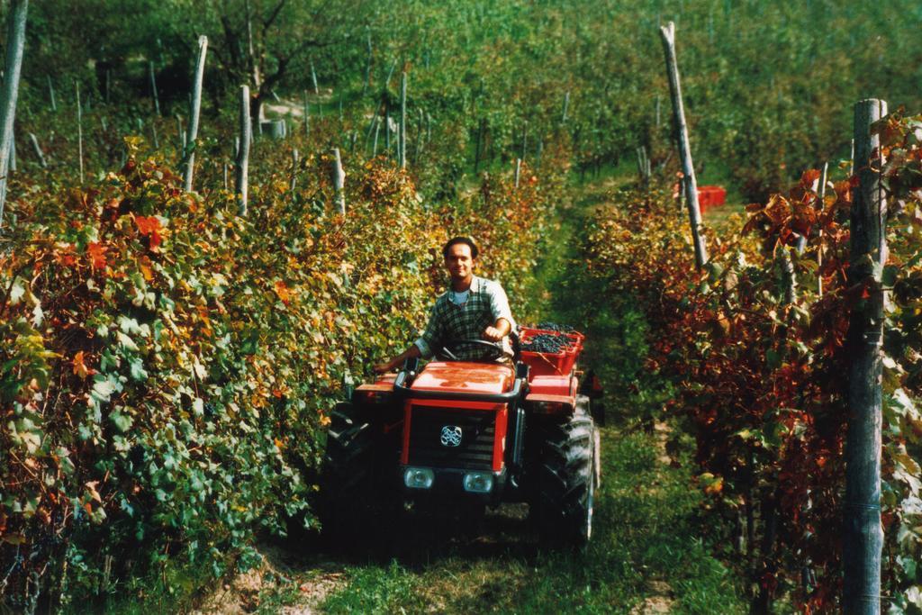 Cascina Rocca Agriturismo B&B La Morra Εξωτερικό φωτογραφία